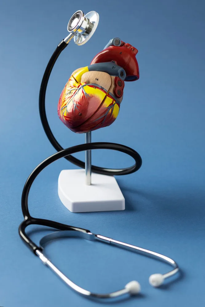 precio-estudio-electrofisiologico-cardiologo-en-cdmx-y-naucalpan.webp